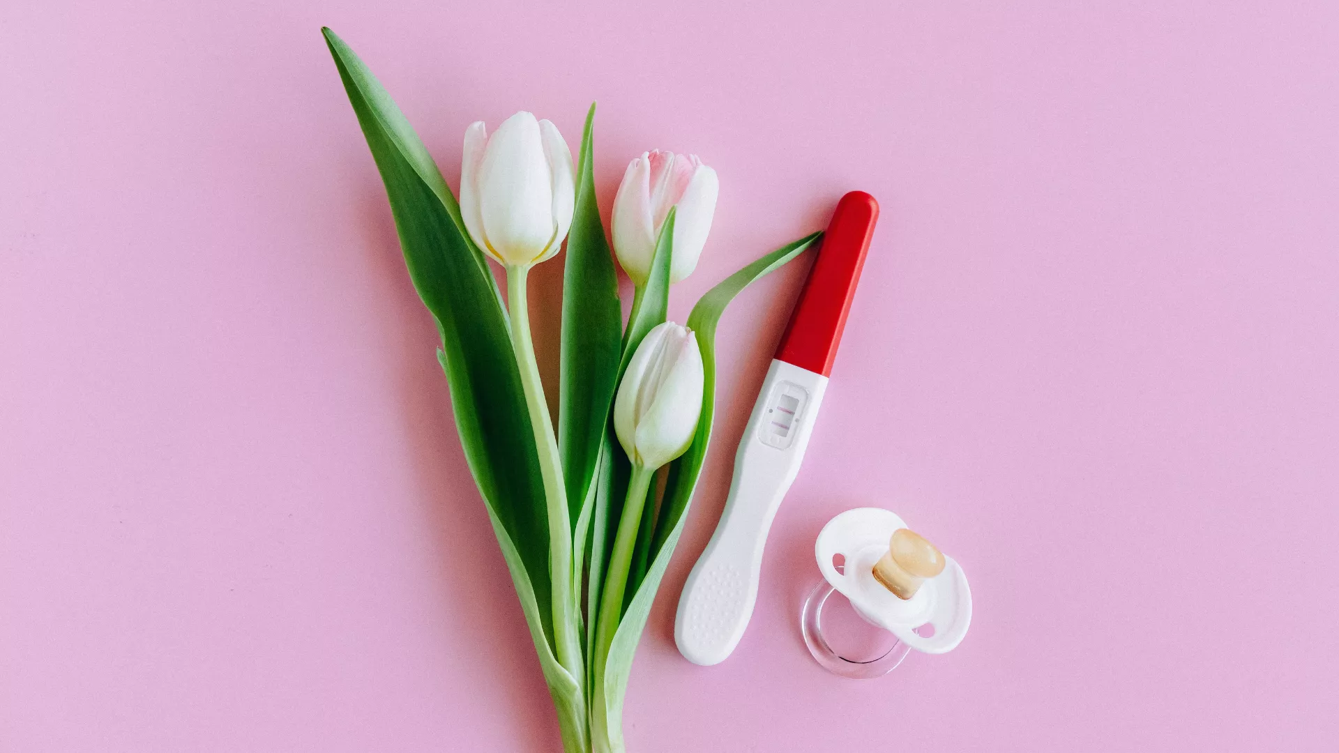 Una valutazione del microbiota vaginale dovrebbe considerare non soltanto la quantità complessiva di lattobacilli, ma anche le specie che compongono questa quota. Lactobacillus crispatus produce acido lattico ed è frequentemente associato a un pH vaginale contenuto e a una minore instabilità della comunità microbica. La sua dominanza viene quindi interpretata, nella maggior parte degli studi, come una configurazione favorevole. Lactobacillus iners presenta invece caratteristiche differenti. Può essere rilevato sia in condizioni considerate fisiologiche sia durante fasi di transizione verso una disbiosi o dopo un trattamento antibiotico. Le comunità dominate da L. iners sembrano meno resistenti alle variazioni ambientali e possono modificarsi più facilmente in seguito a cambiamenti ormonali, mestruazioni, rapporti sessuali o terapie farmacologiche. La semplice dicitura “microbiota dominato da lattobacilli” può quindi risultare poco informativa quando non viene specificata la specie prevalente. La letteratura suggerisce una maggiore capacità protettiva per L. crispatus rispetto a L. iners, senza però attribuire a una singola specie un valore diagnostico indipendente dal quadro clinico