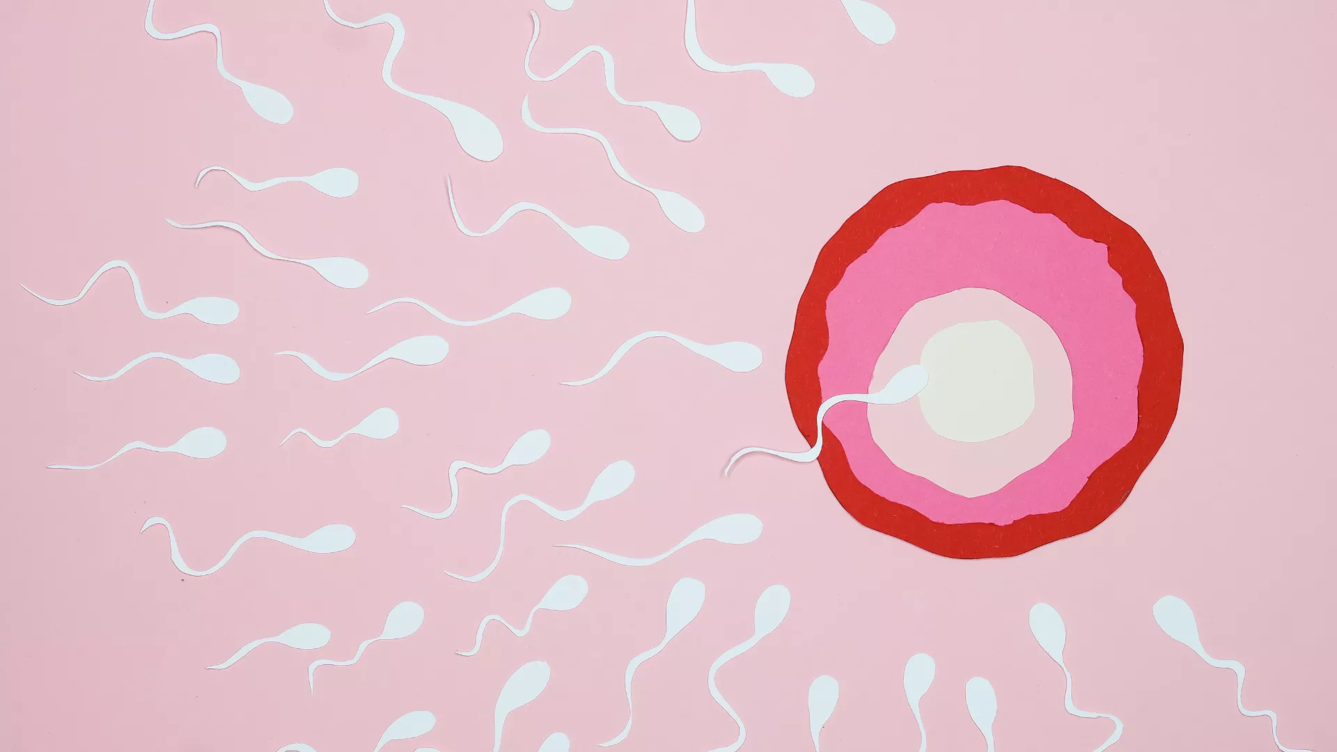 Microbiota vaginale e fertilità